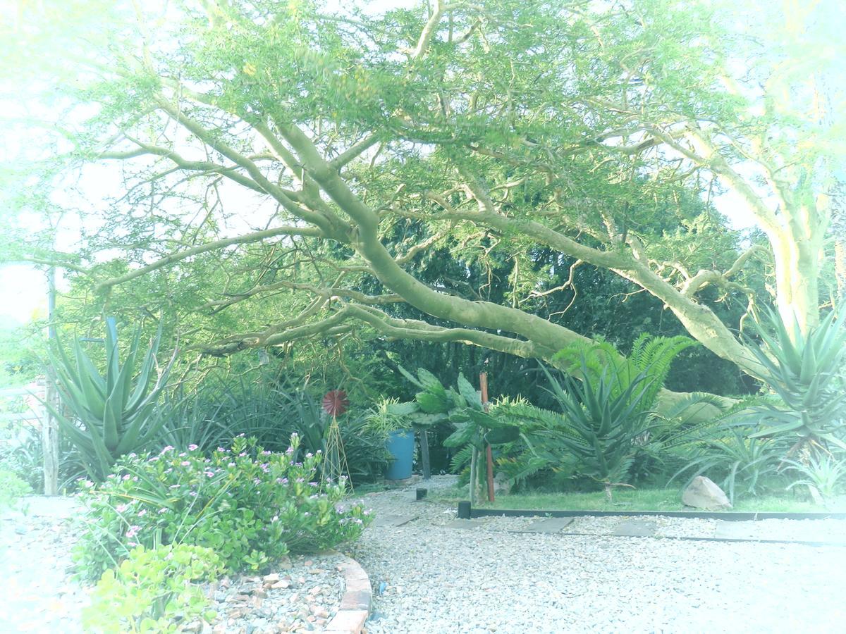 Villa Wiltshire Rondavel à Port Alfred Extérieur photo